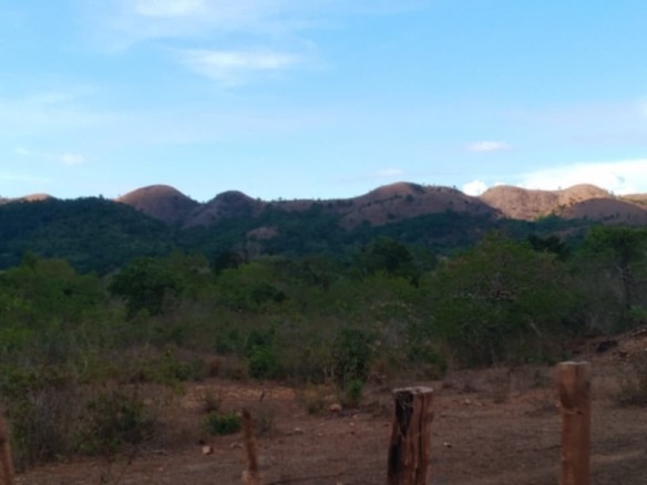 Farm Lot for sale in Cheey, Busuanga Palawan